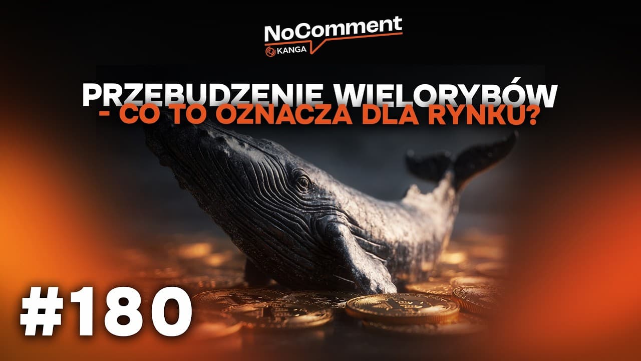 Przebudzenie starożytnych wielorybów i pułapki marketingu krypto \ No Comment #180