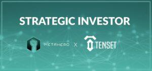 Metahero - Strategic Partner for Kanga