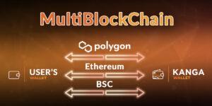 Multiblockchain - basic information about the Kanga Exchange IPO