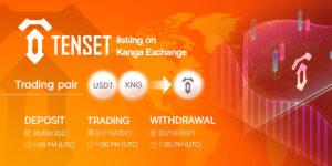 Tenset on Kanga Exchange