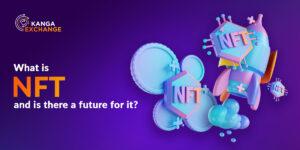 What is NFT and is there a future for it?
