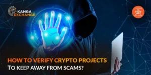 How to verify crypto projects to keep away from scams?
