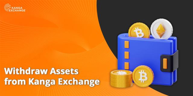Thumbnail of "Withdraw Assets from Kanga Exchange" article