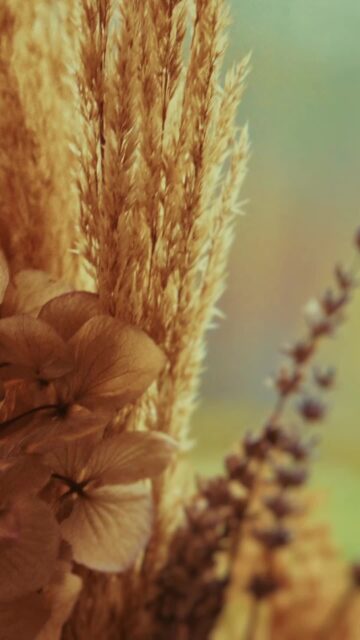 Znasz to uczucie, gdy… 

Jesteś w restauracji. Musisz opłacić rachunek i nagle okazuje się, że w portfelu pusto, ALE przypominasz sobie, że przecież masz kryptowaluty… 👀

W takiej sytuacji możesz łatwo uzupełnić portfel gotówką – wystarczy, że znajdziesz najbliższego localsa. Ustalasz z nim warunki wymiany kryptowaluty na gotówkę i cieszysz się wypłaconymi środkami! 💵

Prawda, że proste? 💪

Znajdź localsa: link w bio! 📍