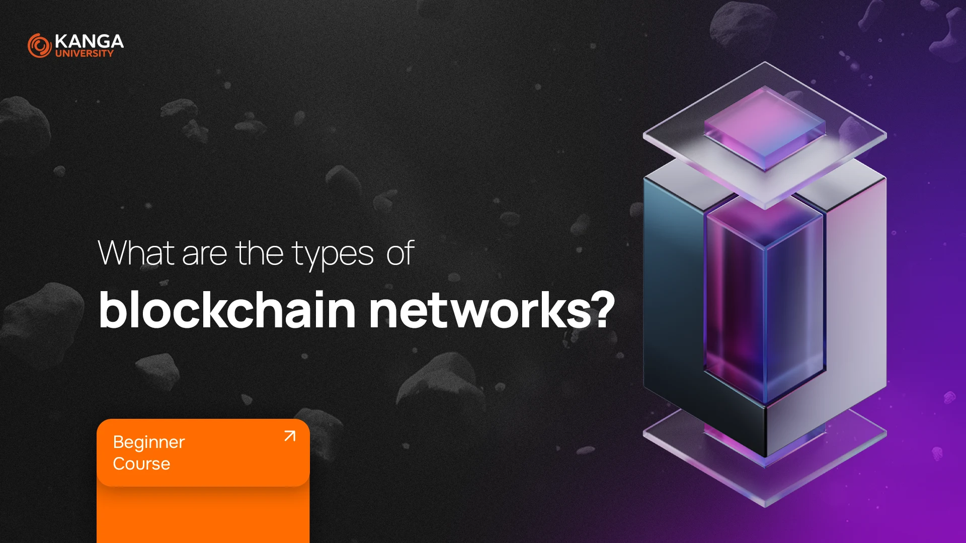 What are the types of blockchain networks