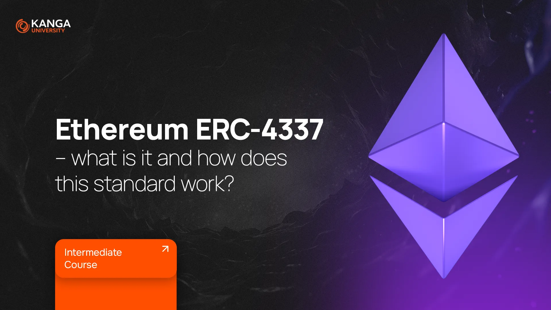 11. Ethereum ERC-4337 - what is it and how does this standard work? - Kanga  University