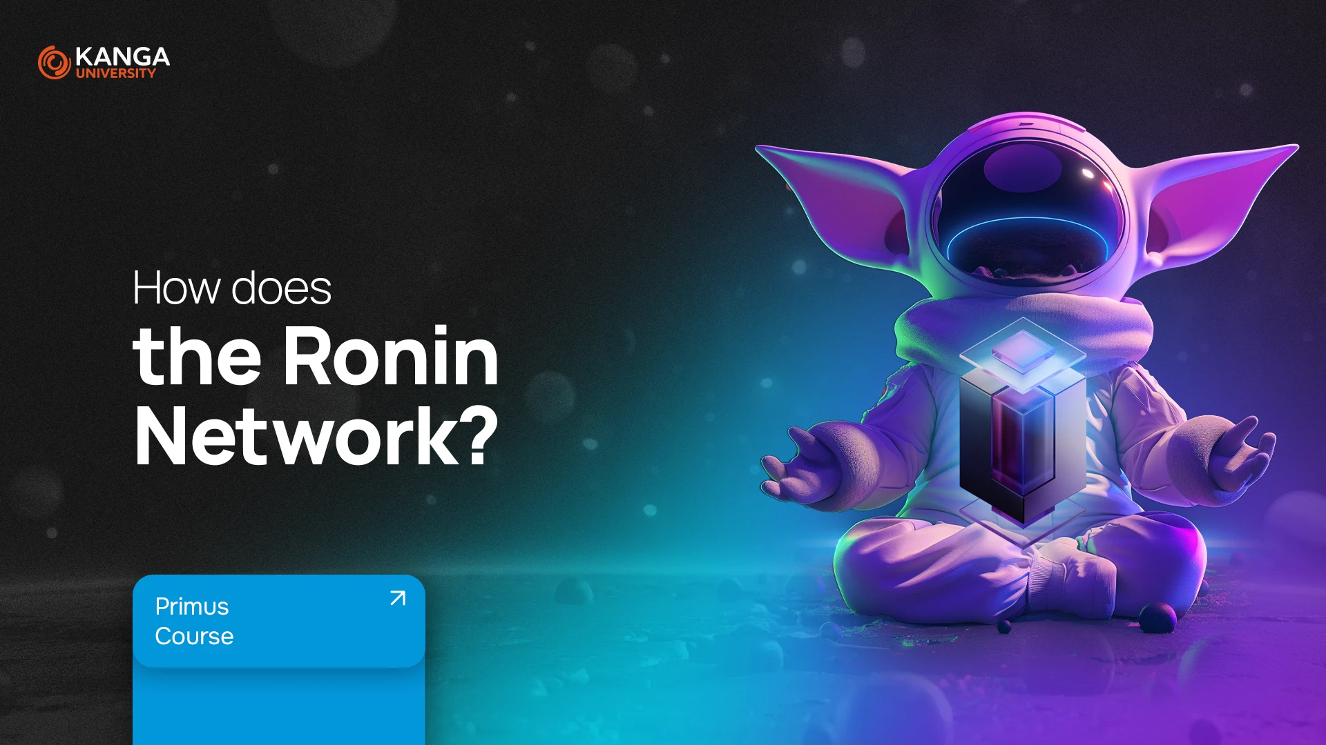 How does the Ronin Network work