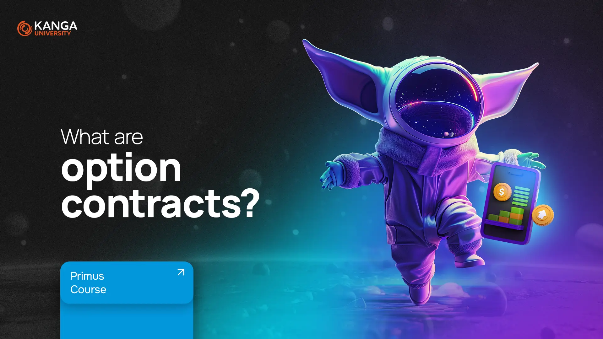 What are option contracts